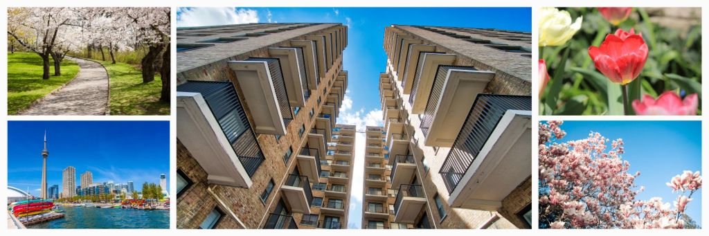 From Winter to Wow: Spring Transformation Tips for Toronto&nbsp;Apartments